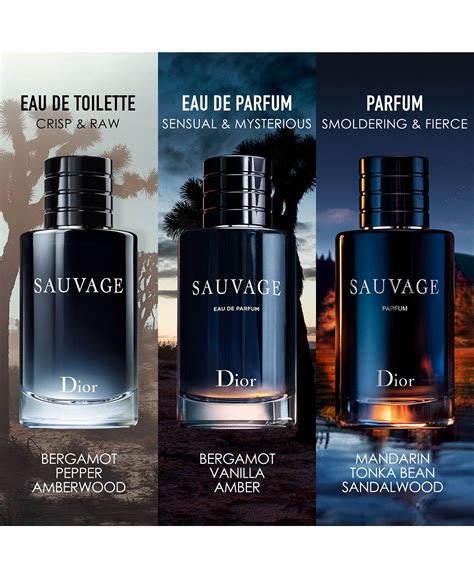 best dior perfumes for men|best version of dior sauvage.